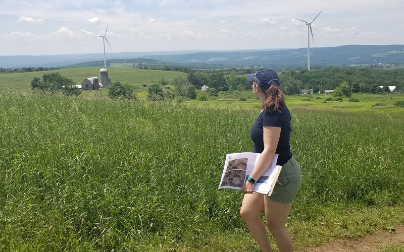 Meaghan Keefe looks across a vista at two large wind turbines at Hardscrabble Wind Farm in Fairfield, New York
