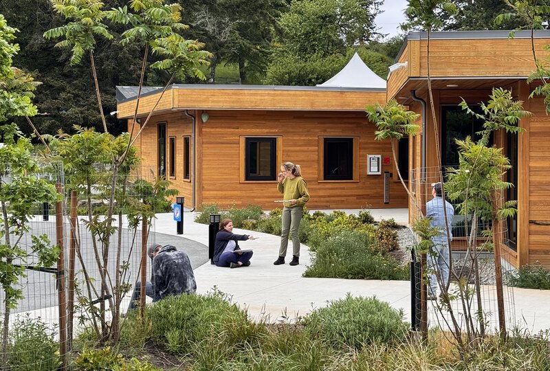 Four researchers with clipboards record observations from a landscape sidewalk area in front of two wood buildings