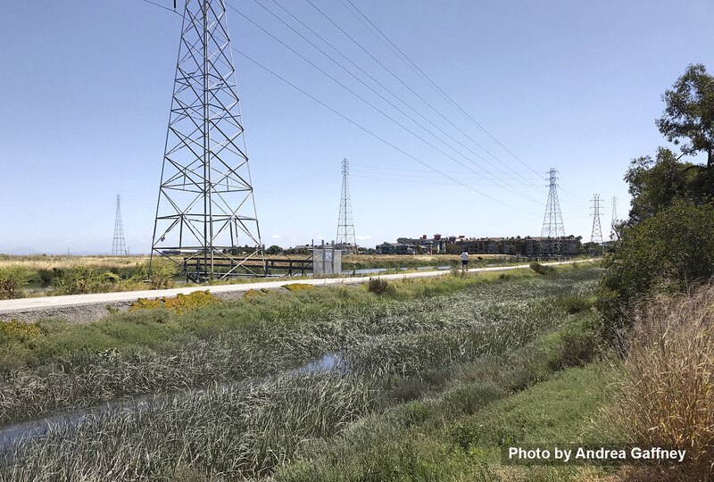 A trail runs through a marshy area under overhead powers lines supported by metal towers