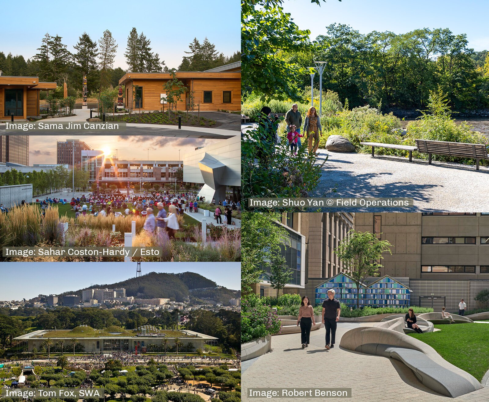 2024 CSI Teams And Projects Announced Landscape Architecture Foundation   Feature Image Csi 2024 Announcement 