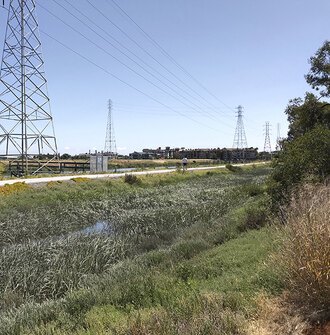 A trail runs through a marshy area under overhead powers lines supported by metal towers