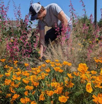 image of a man in a field of yellow and pink wildflowers