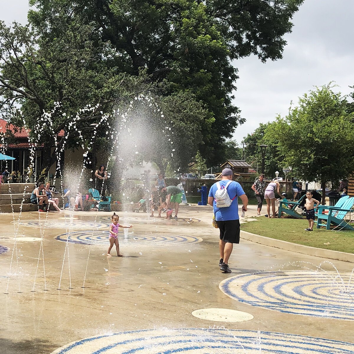 Buffalo Bayou Park  Landscape Performance Series